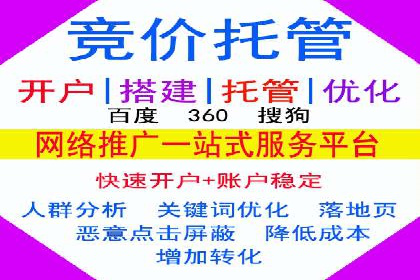 SEM托管公司成功案例：助力企业快速成长
